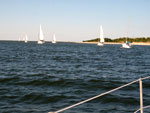 sailboats racing at east beach